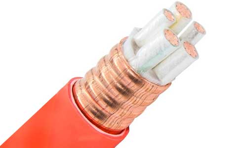 <a href='http://gdcoal.cn/kuangwuzhidianlan/' target='_blank'><u>礦物質(zhì)電纜</u></a>